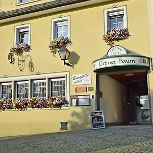 Grüner Baum Hotel